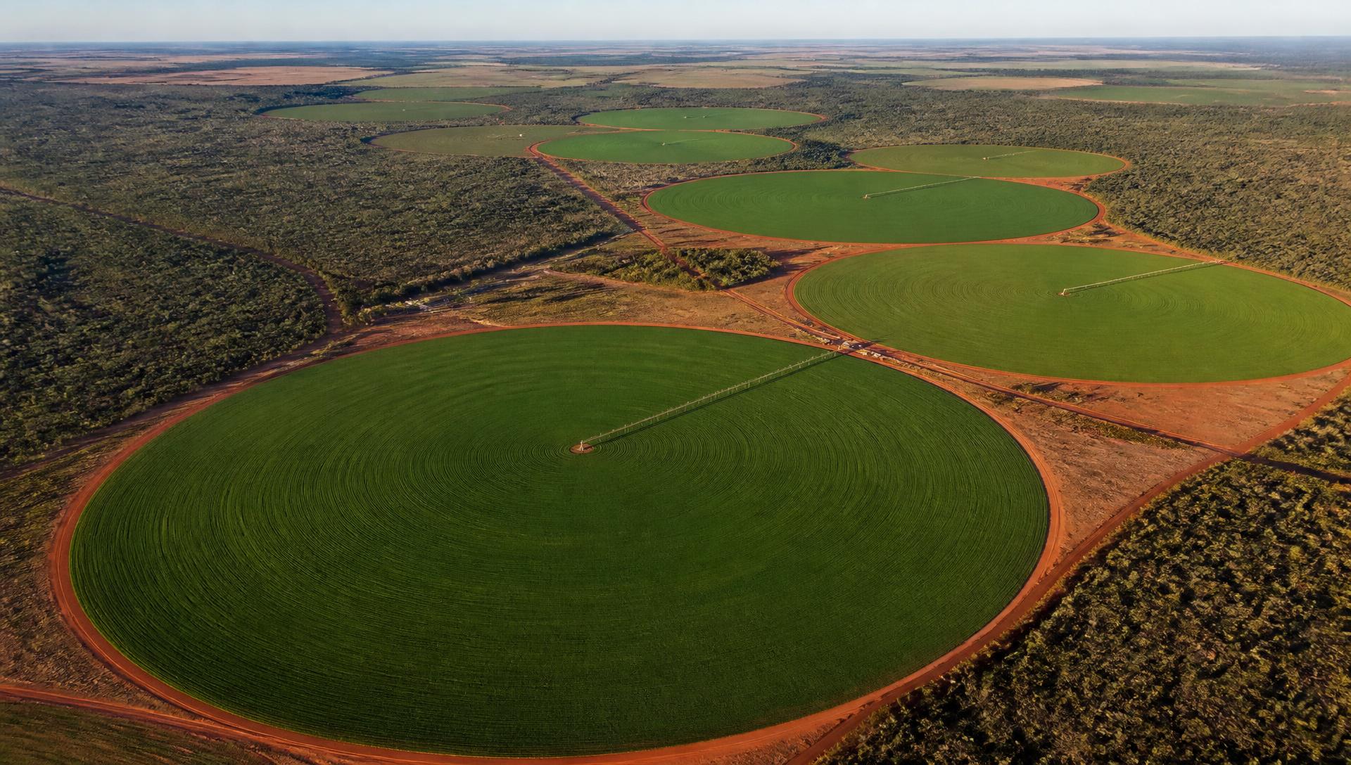 Vista aérea de área irrigada por pivô central